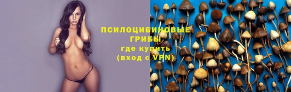 крисы Баксан