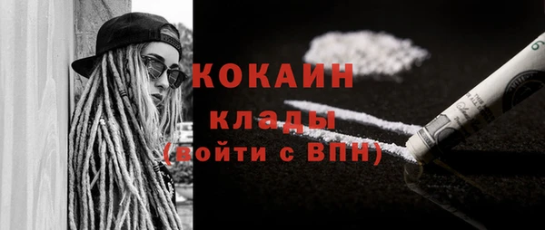 крисы Баксан