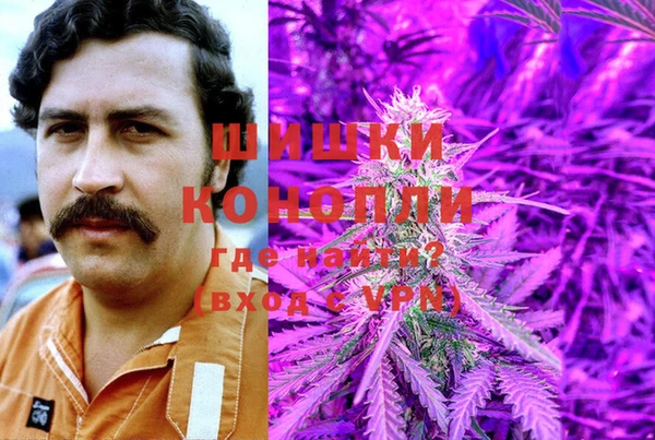 крисы Баксан