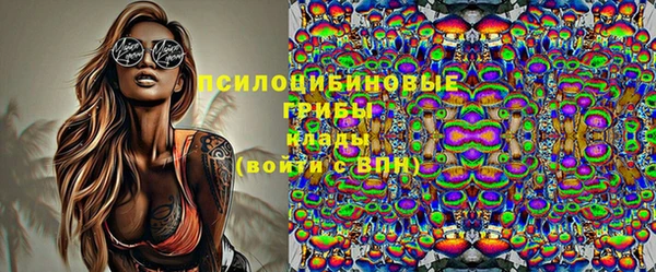 крисы Баксан