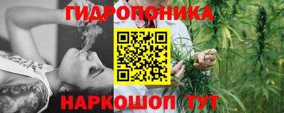 mdpv Кандалакша