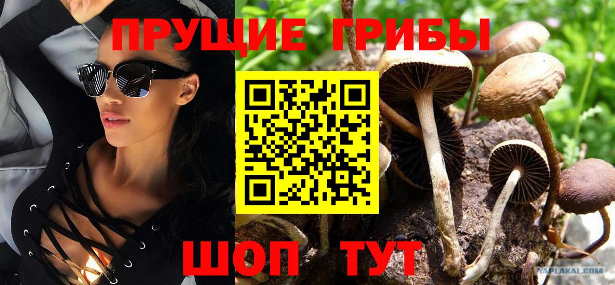 Галлюциногенные грибы мицелий Лыткарино
